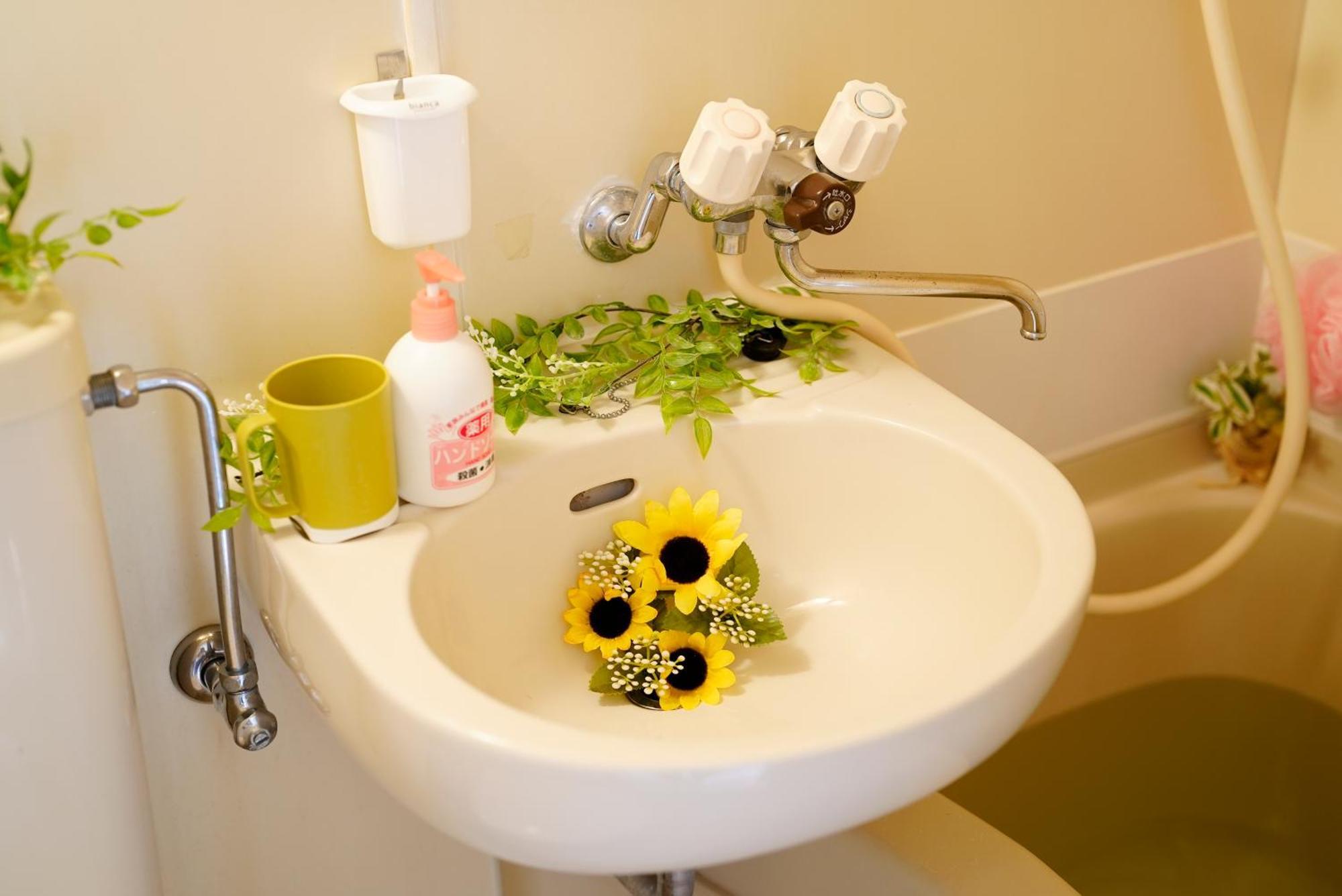 Sc Kameari 911 Appartement *